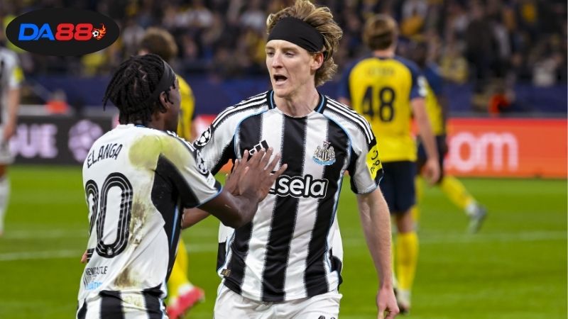 Soi kèo bóng đá giữa Newcastle và Benfica, diễn ra lúc 02h00 ngày 22/10 1 Thông tin giữa Newcastle vs Benfica mới nhất